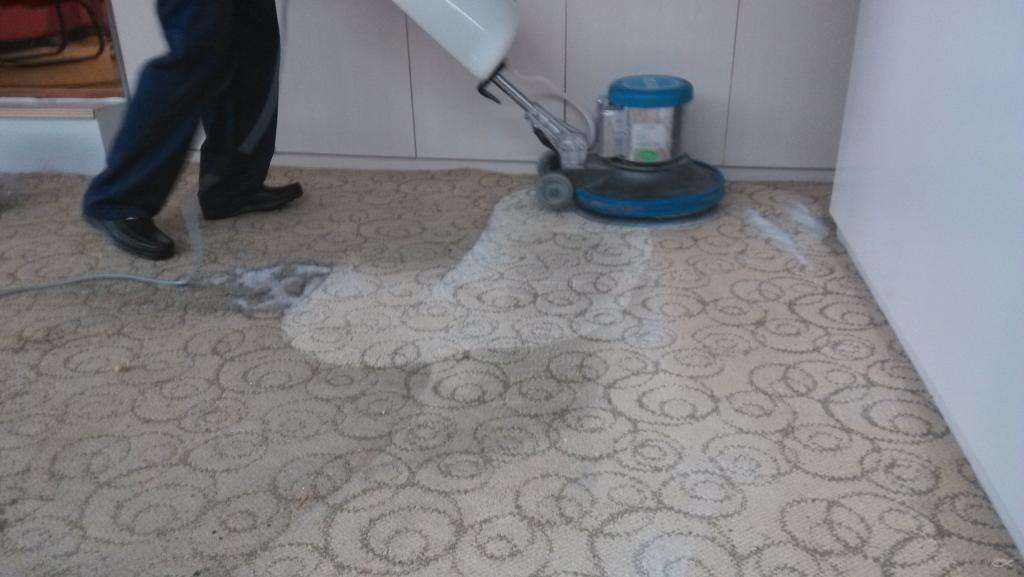专业保洁公司 清洗地毯 玻璃清洗 沙发清洗